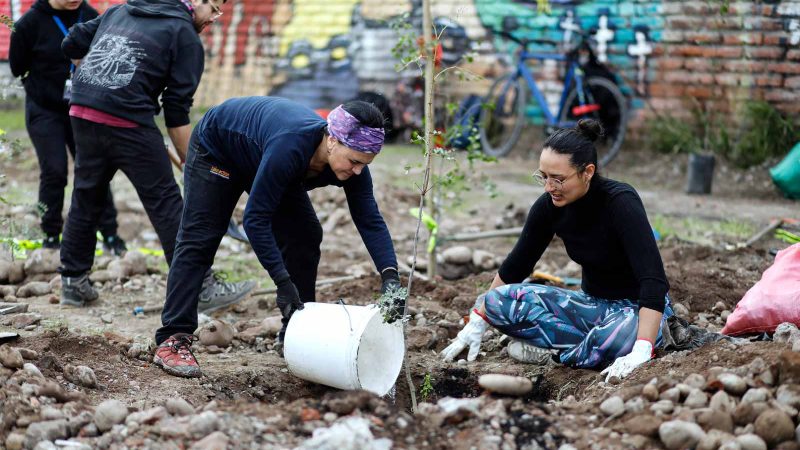 Más de 300 árboles fueron plantados en el lugar donde se encontró el  cadáver de Víctor Jara